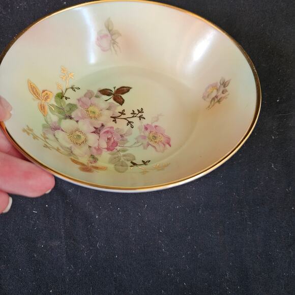 Vintage Schumann Arzberg Germany Wild Rose Shallow Bowl 6" MCM - Picture 4 of 6